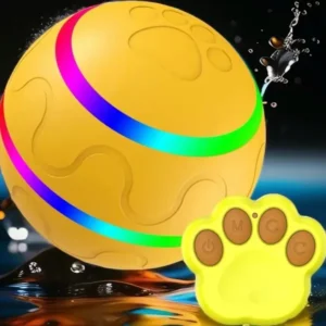 BALL Remote Control Dog Ball