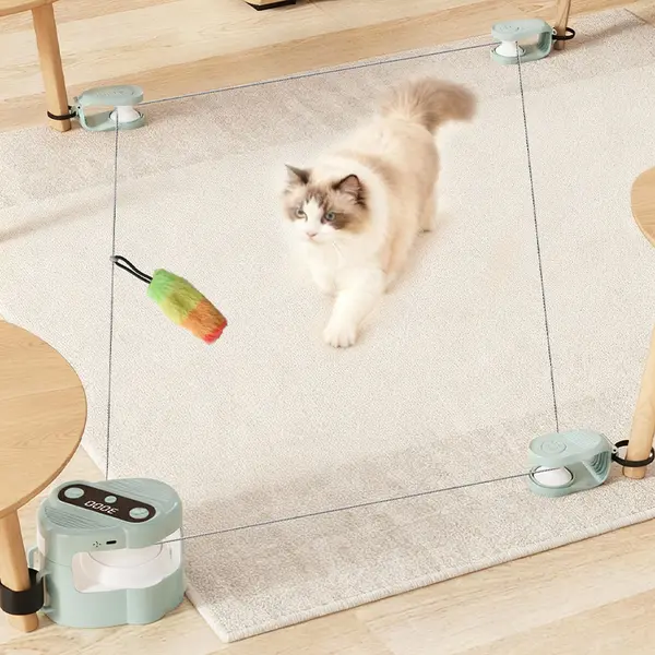 2026 New Indoor Interactive Cat Toy